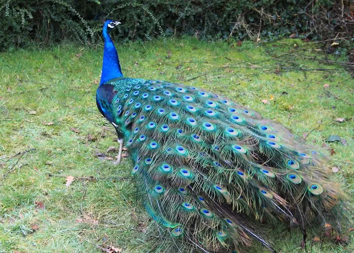 Sunnyside Appartamento